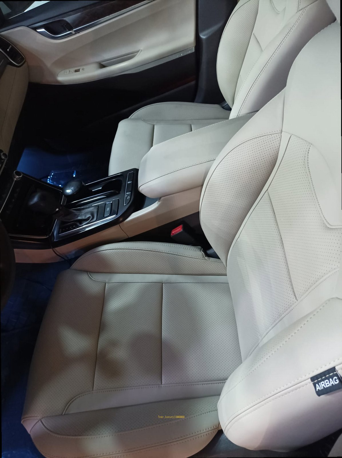 تنجيد وكالة تيسلا 2025 الياسمين ون كار